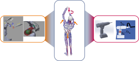 Simulationsaufbau des Co-Simulationsmodells zwischen muskuloskelettalem Menschmodell, Exoskelett und Power Tool